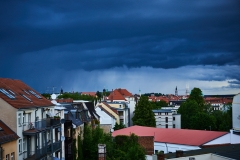 Blickaus meinem Fenster III