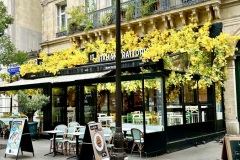 Künstliche Blumen, der neue Hype