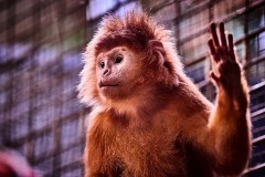 Tiere im Zoo Berlin